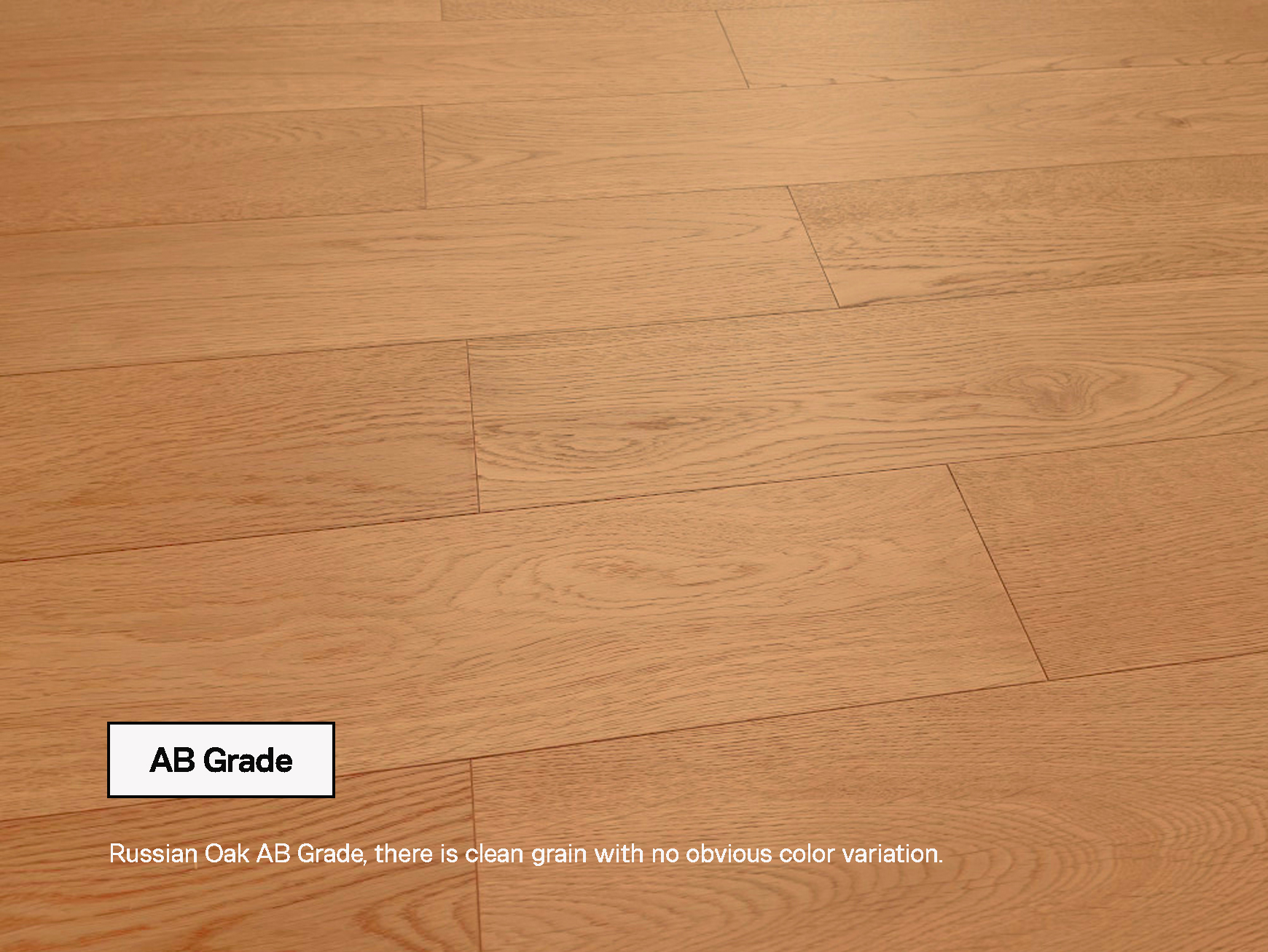 Russian Oak AB Grade, there is clean grain with no obvious color variation. 