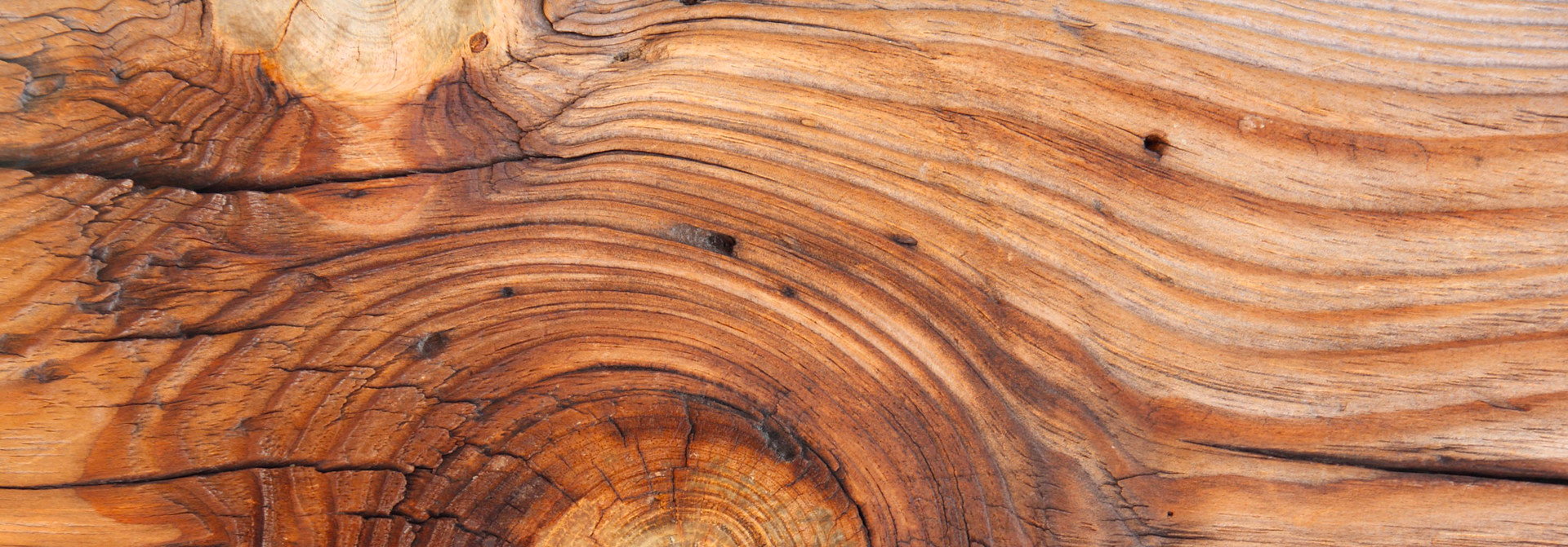 Die 10 wichtigsten Holzarten die Für Massivholz- und Parkettböden Verwendet Werden